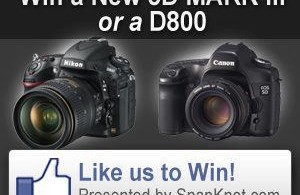 Win a Canon 5D Mark III or a Nikon D800