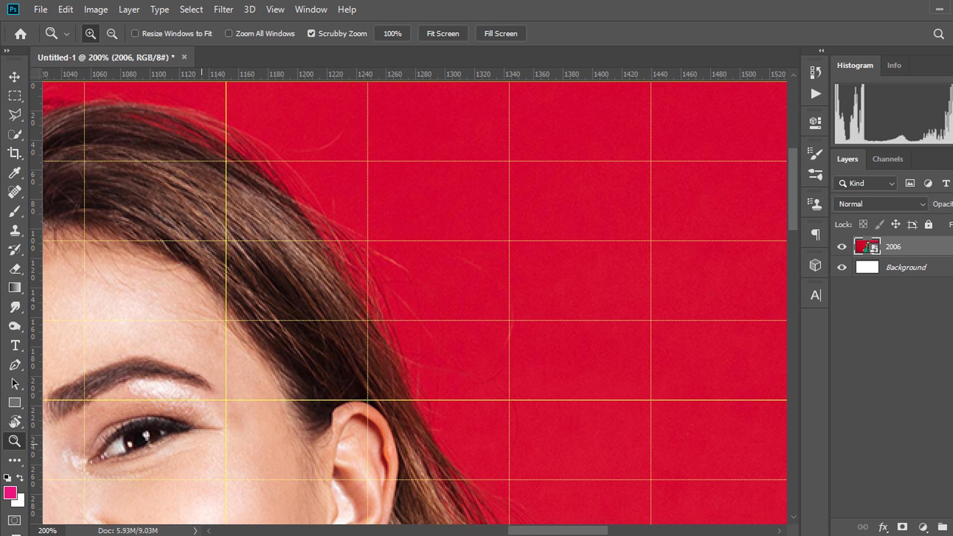 How to Zoom in Photoshop (2020)