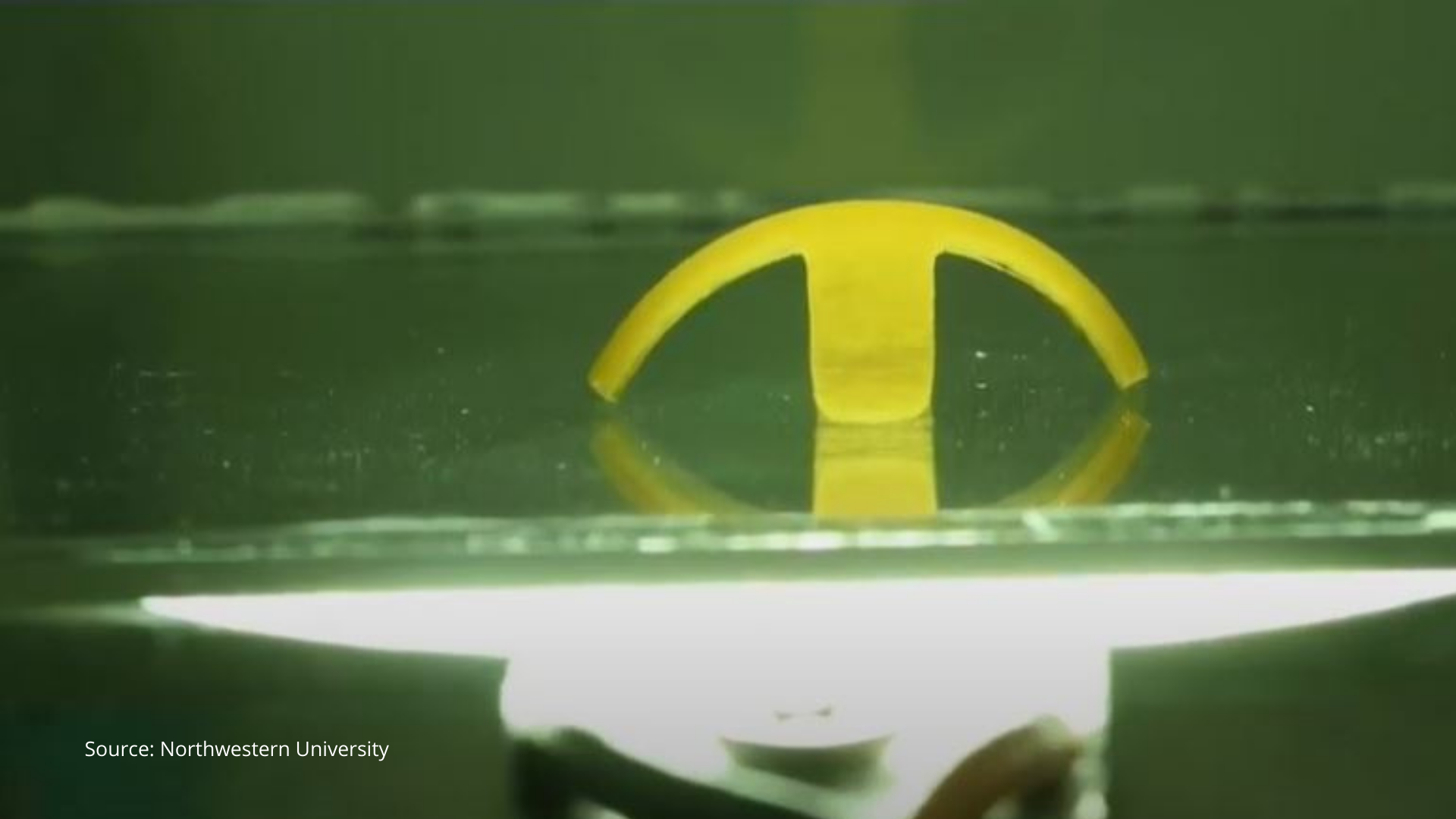 This Tech is Mind-blowing! Watch a Tiny Aquatic Robot Walk, Dance and Move Cargo