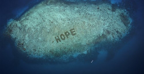 SHEBA® unveils Hope Reef: World’s Largest Coral Restoration Program Announced