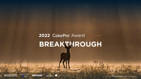 ViewSonic Kicks off the 2022 ColorPro Award to Capture “Breakthrough” in Photography and Digital Art