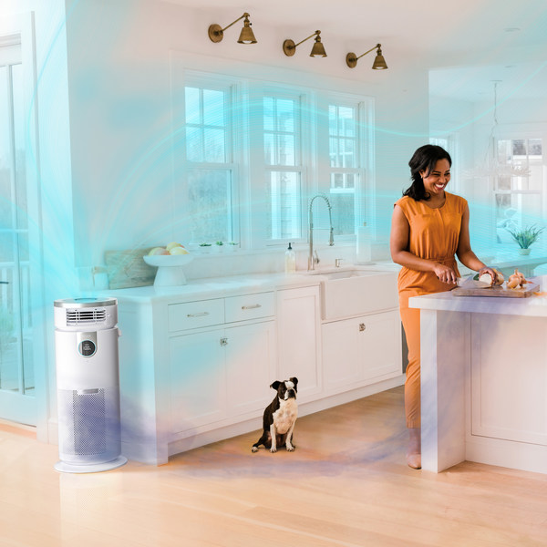 Too Hot? Too Cold? Shark’s New Line of Air Purifiers is Just Right